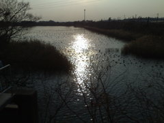 遠来2009(2)