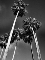 P8292080
