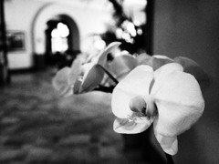 P8272005