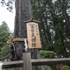 富士北口本宮浅間神社・御神木3
