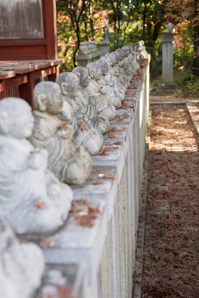 高尾山・紅葉3