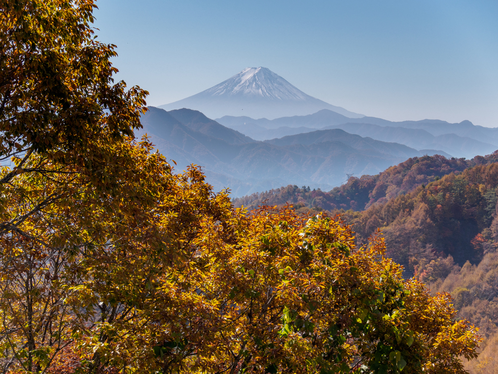 富士山　紅葉