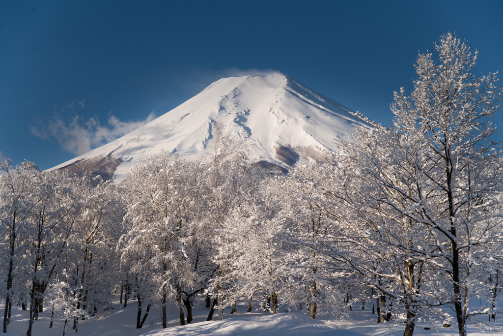 富士山1