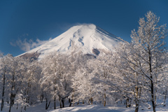 富士山1
