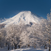 富士山1