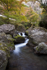 神戸川　紅葉