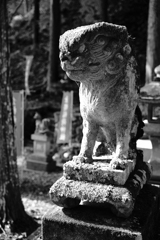 金桜神社　狛犬