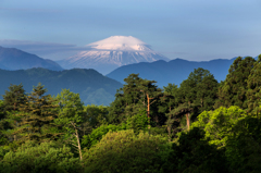 大垂水峠　富士山