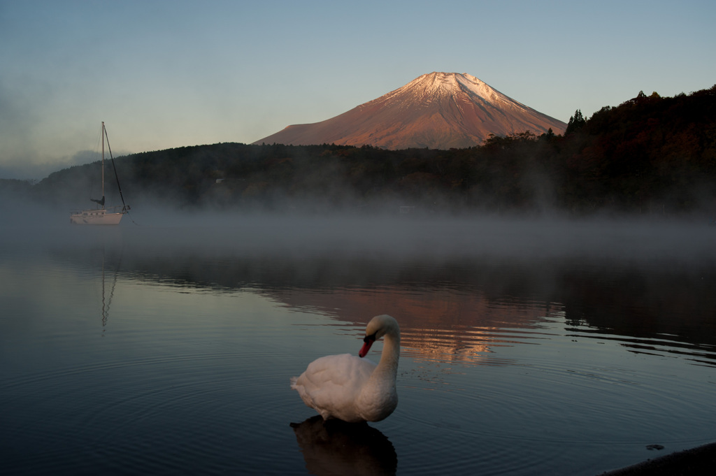 富士山　山中湖3
