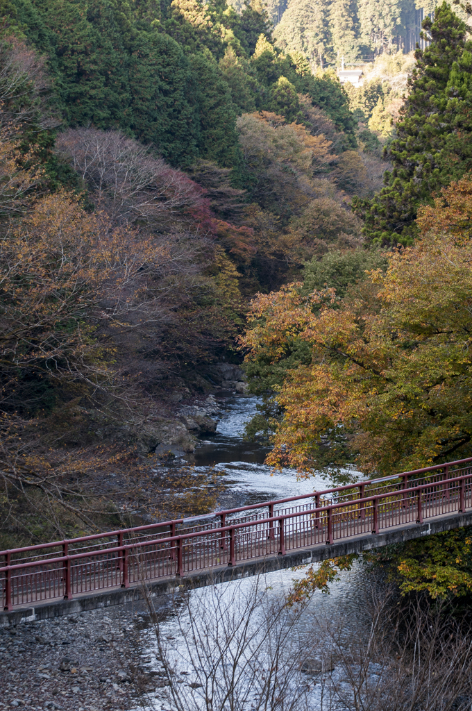 秋川　紅葉