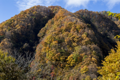 日川渓谷　紅葉