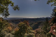 高尾山　紅葉