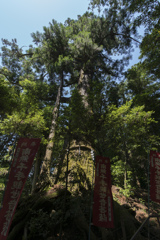 塩船観音寺・御神木