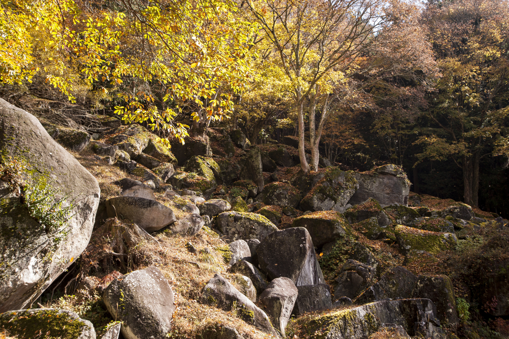 天目山　栖雲寺　紅葉3