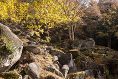 天目山　栖雲寺　紅葉3
