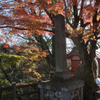 猿橋　紅葉4