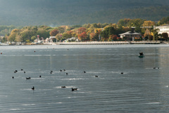 山中湖