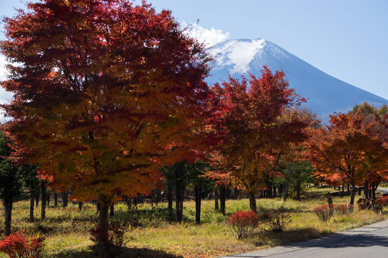 富士山