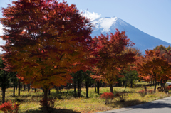 富士山