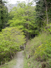 軍刀利神社　大桂1