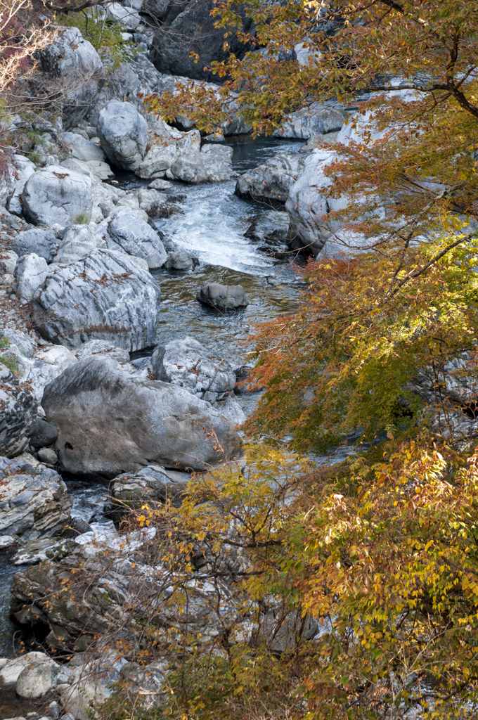 奥多摩湖　紅葉4