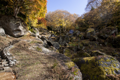 天目山　栖雲寺　紅葉2