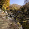 天目山　栖雲寺　紅葉2