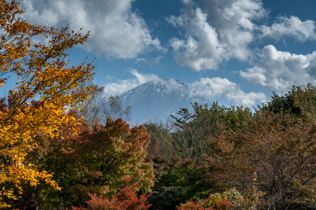 富士山　紅葉
