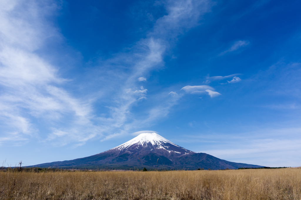 富士山