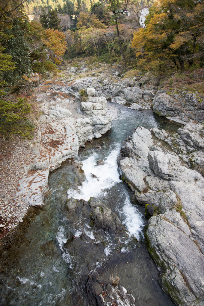 秋川　紅葉2