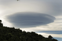 雲