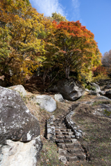 天目山　栖雲寺　紅葉1