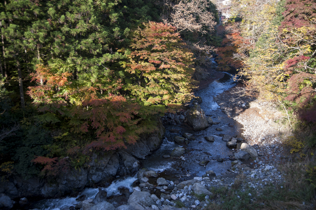 秋川　紅葉3