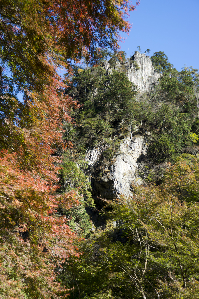 神戸岩　紅葉