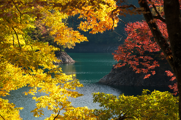 紅葉2
