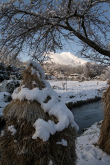 富士山4