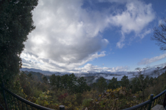 高尾山・紅葉5