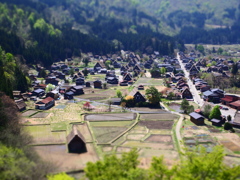 P5020103