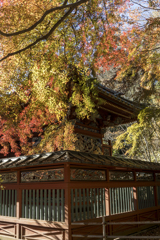 高尾山　紅葉