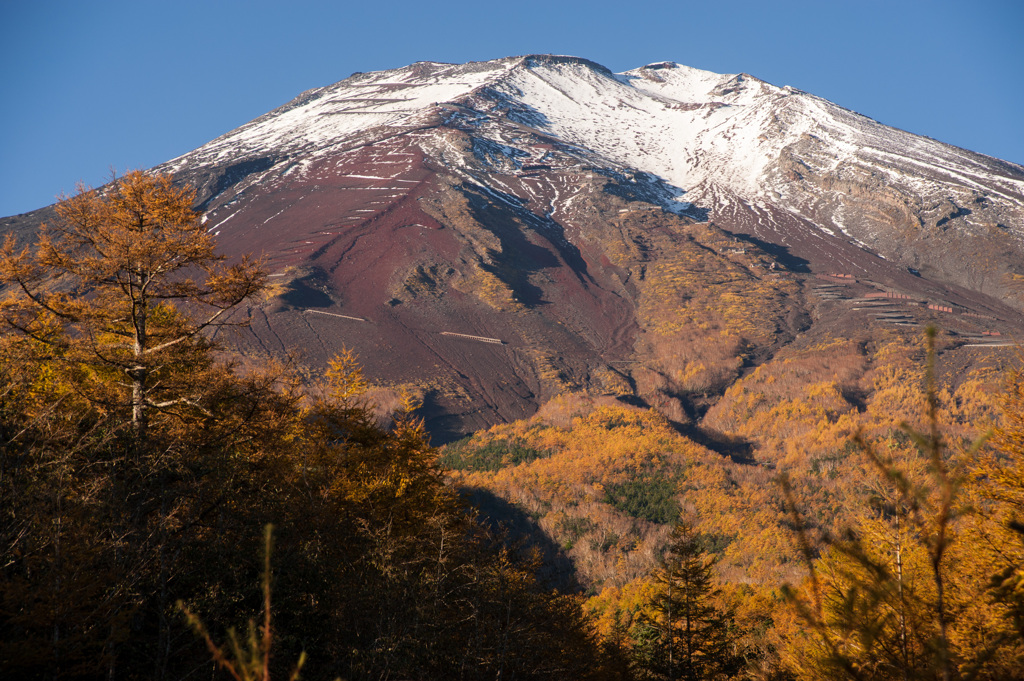 富士山　紅葉