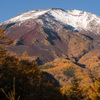 富士山　紅葉