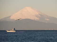 富士山　城ヶ島より