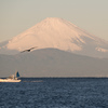 富士山　城ヶ島より