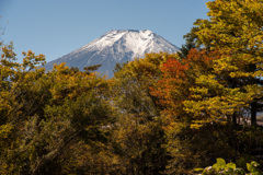 富士山　紅葉
