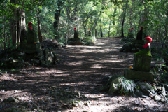 DSC02390