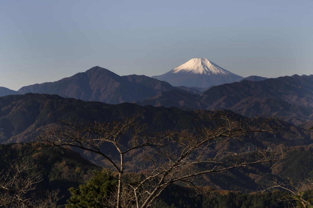 高尾山　富士山