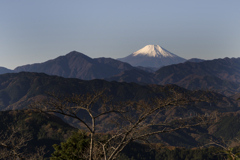 高尾山　富士山