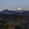 高尾山　富士山