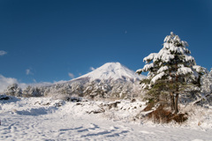 富士山2