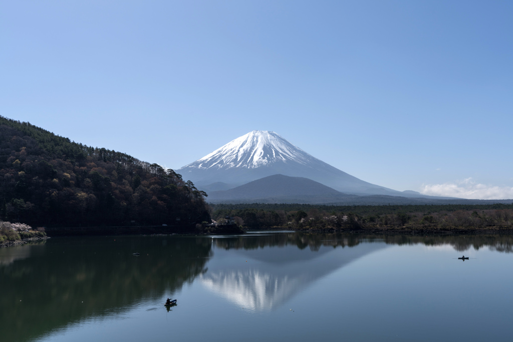 精進湖畔　富士山